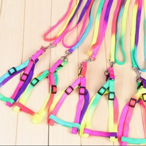 dog multicolor pets collars leather accessories walking harness - leash for pet new lovely colorful rainbow color