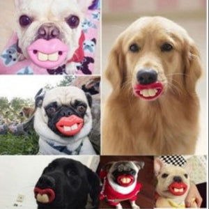 Pacifier Soother Small Dog Bulldog Pug Pet Chew Toys - Dogs Funny LOL Teeth Dummy Pets